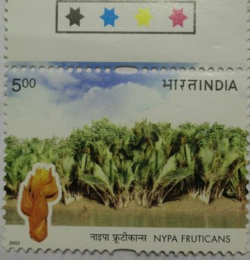 Nypa fruticans (Hinged/Gum Wash)
