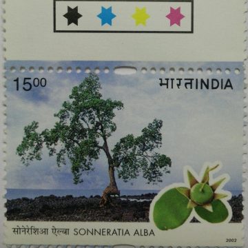 Sonneratia (Traffic Light Stamp)