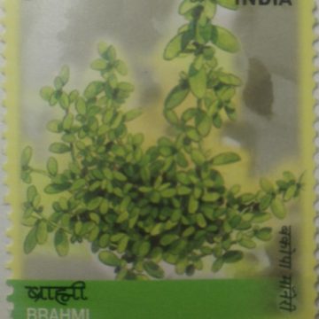 Medicinal Plants of India,Brahmi (Hinged/Gum washed stamp)