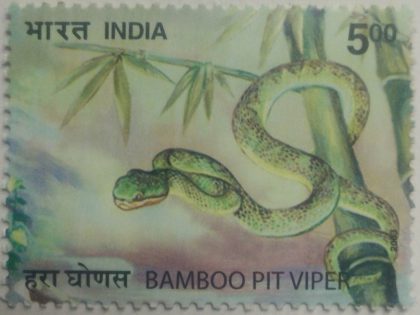 Nature India Snakes , Thematic Bamboo Pit Viper, Rs 5 - MNH Stamp | Indian Postage Stamps | Indian Coins | Old Indian Currency | Rare Indian Coins | Numismatic Collection India