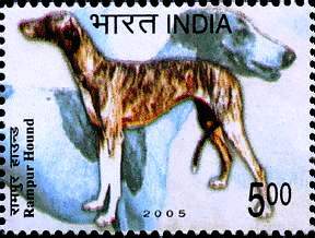 Breds of Dogs,  Rampur Hound  (Hinged/Gum washed stamp)