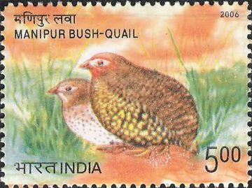 Endangered Birds of India, Manipur Bush-Quail, Perdicula manipurensis (Hinged/Gum washed stamp)
