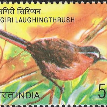 Endangered Birds of India, Nilgiri Laughing thrush (Hinged/Gum washed stamp)
