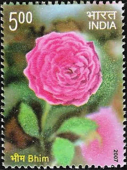 Fragrance of Roses. Bhim (Hinged/Gum washed stamp) | Indian Postage Stamps | Indian Coins | Old Indian Currency | Rare Indian Coins | Numismatic Collection India
