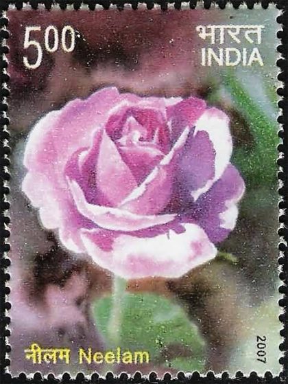 Fragrance of Roses. Thematic, Neelam (Hinged/Gum washed stamp) | Indian Postage Stamps | Indian Coins | Old Indian Currency | Rare Indian Coins | Numismatic Collection India