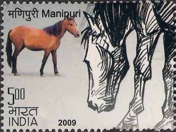 Indigenous Horses of India Thematic Manipuri Rs. 5  (Hinged/Gum washed stamp)