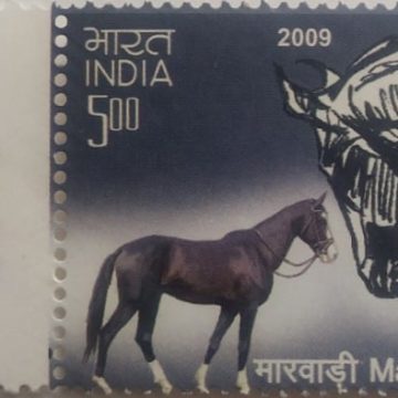 Indigenous Horses of India Thematic Manipuri Rs. 5 (Traffic Light Stamp)
