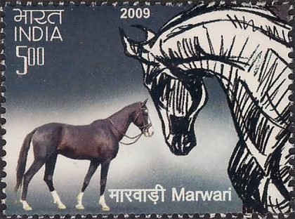 Indigenous Horses of India Thematic Marwari Rs. 5  (Hinged/Gum washed stamp) | Indian Postage Stamps | Indian Coins | Old Indian Currency | Rare Indian Coins | Numismatic Collection India
