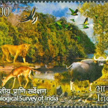 Zoological Survey of India.- MNH Stamp