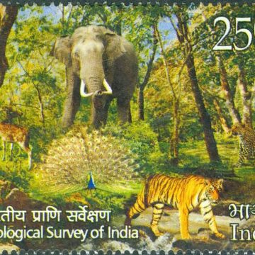 Zoological Survey of India.- MNH Stamp