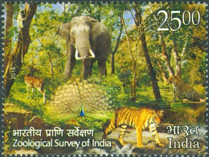 Zoological Survey of India.- MNH Stamp | Indian Postage Stamps | Indian Coins | Old Indian Currency | Rare Indian Coins | Numismatic Collection India