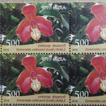 orchids of India ; Esmeralda Cathcartil (Block of 4 TL Stamp)