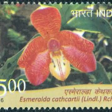 orchids of India ; Esmeralda Cathcartil - MNH Stamp