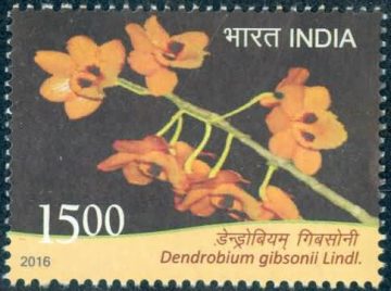 orchids of India ; Esmeralda Dendrobium gibsonil - MNH Stamp