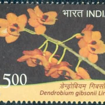 orchids of India ; Esmeralda Dendrobium gibsonil - MNH Stamp