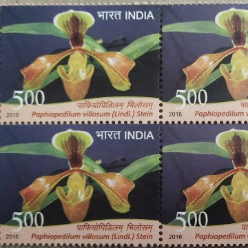 orchids of India ; Esmeralda Paphiopedilum villosum (Block of 4 TL Stamp)