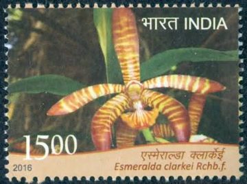 orchids of India ; Esmeralda Esmeralda clarkel - MNH Stamp
