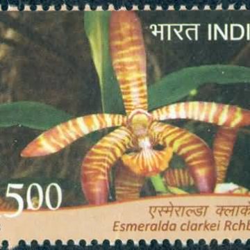 orchids of India ; Esmeralda Esmeralda clarkel - MNH Stamp
