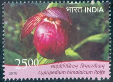 orchids of India ; Esmeralda Cypripedium himalaicum - MNH Stamp