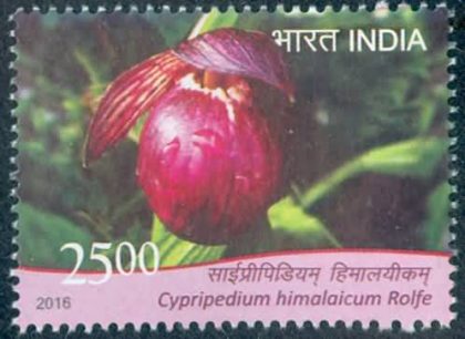 orchids of India ; Esmeralda Cypripedium himalaicum - MNH Stamp | Indian Postage Stamps | Indian Coins | Old Indian Currency | Rare Indian Coins | Numismatic Collection India