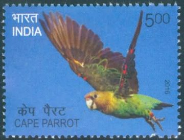 Exotic Birds;  Cape parrot - MNH Stamp