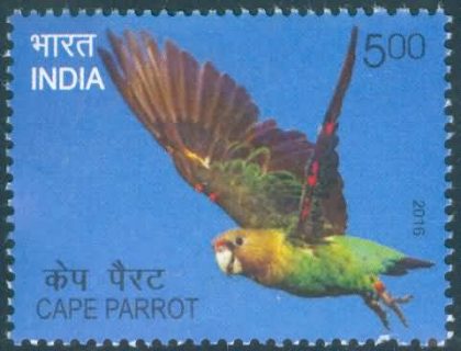Exotic Birds;  Cape parrot - MNH Stamp | Indian Postage Stamps | Indian Coins | Old Indian Currency | Rare Indian Coins | Numismatic Collection India