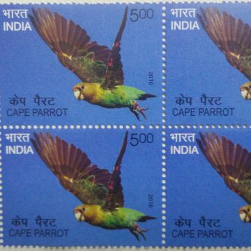 Cape Parrot(Block of 4 TL Stamp)