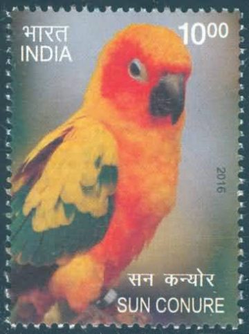 Exotic Birds; Sun conure - MNH Stamp