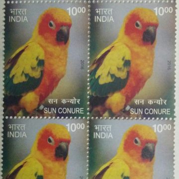 Sun Conure(Block of 4 TL Stamp)
