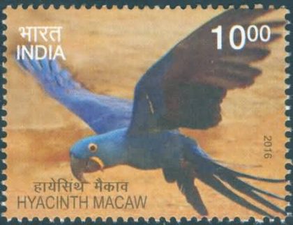Exotic Birds;  Hyacinth Macaw - MNH Stamp | Indian Postage Stamps | Indian Coins | Old Indian Currency | Rare Indian Coins | Numismatic Collection India
