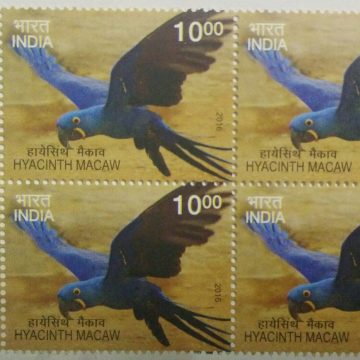 Hyacinth Macaw(Block of 4 TL Stamp)