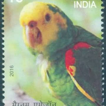 Exotic Birds; yellow headed Amazon- MNH Stamp