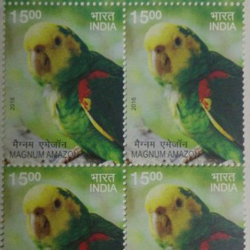 Yellow Headed Amazon(Block of 4 TL Stamp)