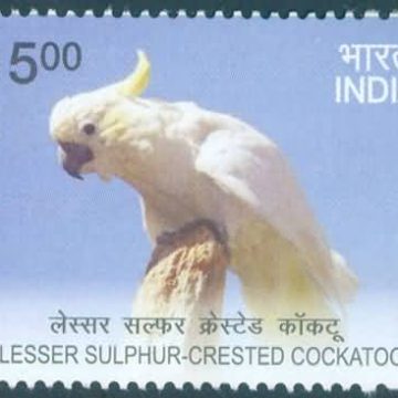 Exotic Birds; Yellow Crested Cockatoo - MNH Stamp