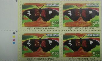 Butterfly(Block of 4 TL Stamp)