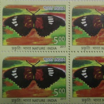 Butterfly(Block of 4 TL Stamp)