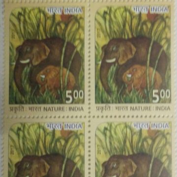 Elephant  (Block of 4 TL Stamp)