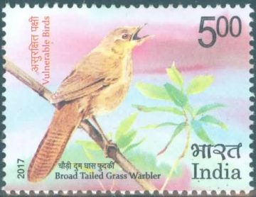 Vulnerable Birds. Grass warbler - MNH Stamp