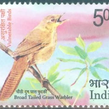 Vulnerable Birds. Grass warbler - MNH Stamp