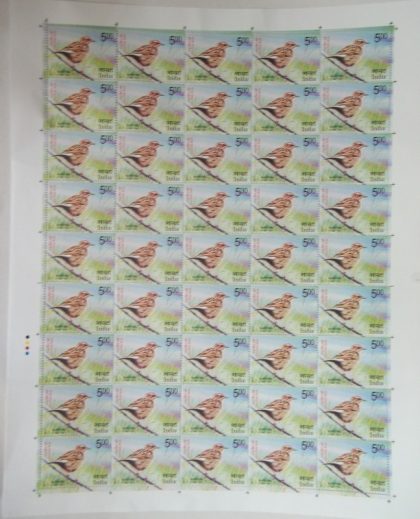 Vulnerable Birds. Nilgiri pipit Rs.5 - MNH (Full sheet - 45 stamps) | Indian Postage Stamps | Indian Coins | Old Indian Currency | Rare Indian Coins | Numismatic Collection India