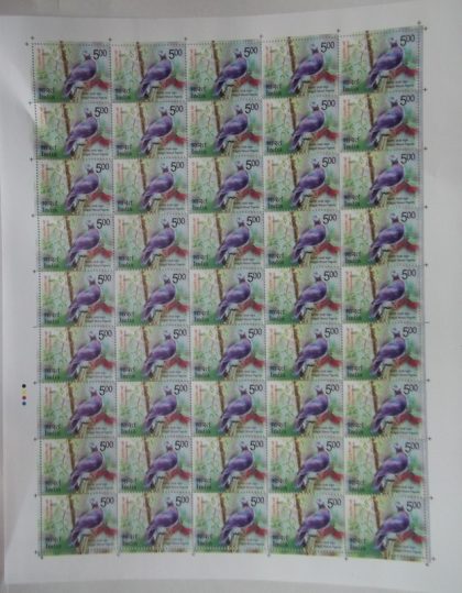 Vulnerable Birds. Wood pigeon Rs.5 - MNH (Full sheet - 45 stamps) | Indian Postage Stamps | Indian Coins | Old Indian Currency | Rare Indian Coins | Numismatic Collection India