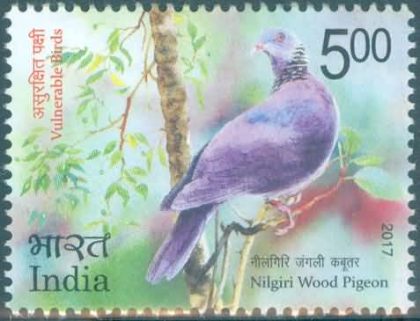 Vulnerable Birds. Wood pigeon - MNH | Indian Postage Stamps | Indian Coins | Old Indian Currency | Rare Indian Coins | Numismatic Collection India