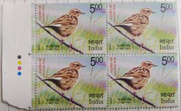 Vulnerable Birds. Nilgiri pipit  (Block of 4 TL Stamp)