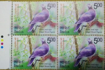 Vulnerable Birds. Wood pigeon  (Block of 4 TL Stamp)