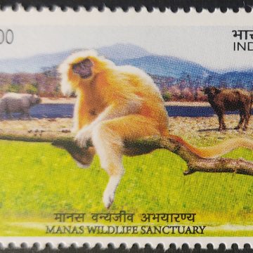 UNESCO World heritage sites Manas wild life - MNH Stamp