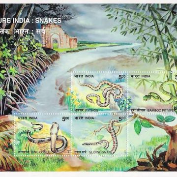Snakes -2003 (Indian Miniature Sheets)