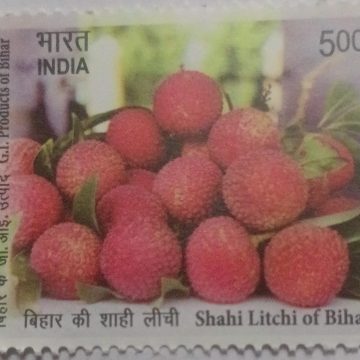 G.I. Products of Bihar-Shahi Litchi of Bihar Rs.5 MNH stamp