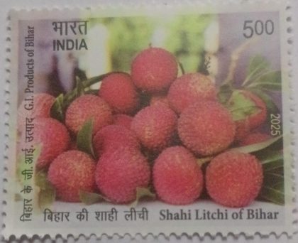 G.I Products of Bihar-Shahi Litchi of Bihar Rs.5 MNH stamp | Indian Postage Stamps | Indian Coins | Old Indian Currency | Rare Indian Coins | Numismatic Collection India
