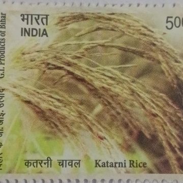 G.I. Products of Bihar-Katarni Rice Rs.5 MNH stamp