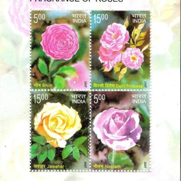 Roses - 2007 (Indian Miniature Sheets)
